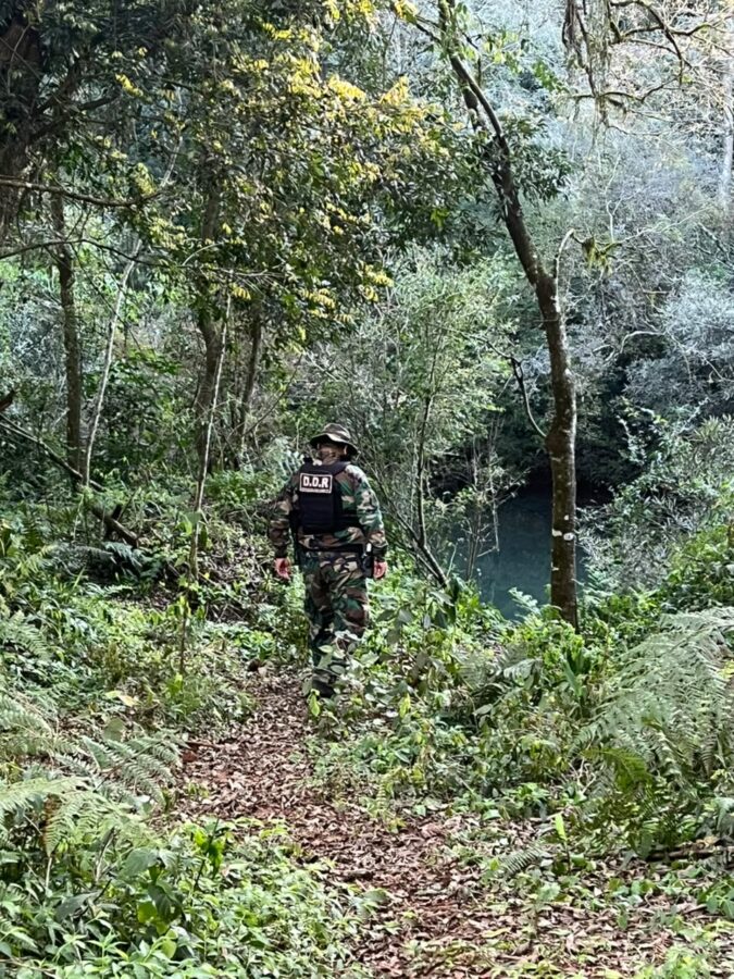 Huellas, trampas y saleros: desmantelaron dos campamentos utilizados para la caza furtiva en Montecarlo 5 10 - caza furtiva 6 - 9