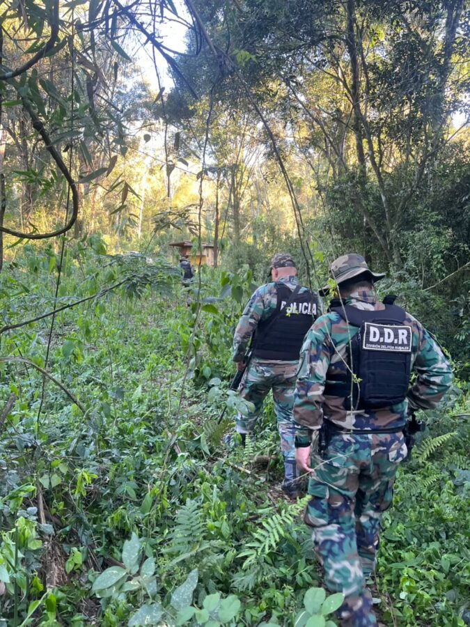 Huellas, trampas y saleros: desmantelaron dos campamentos utilizados para la caza furtiva en Montecarlo 6 12 - caza furtiva 7 - 11