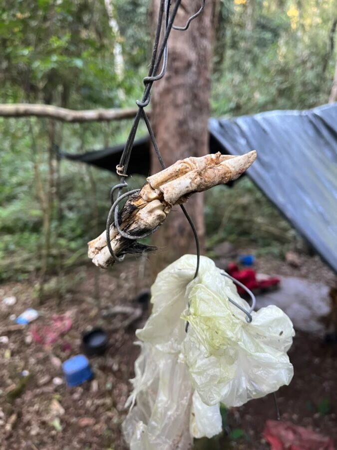 Huellas, trampas y saleros: desmantelaron dos campamentos utilizados para la caza furtiva en Montecarlo 8 16 - caza furtiva 9 - 15