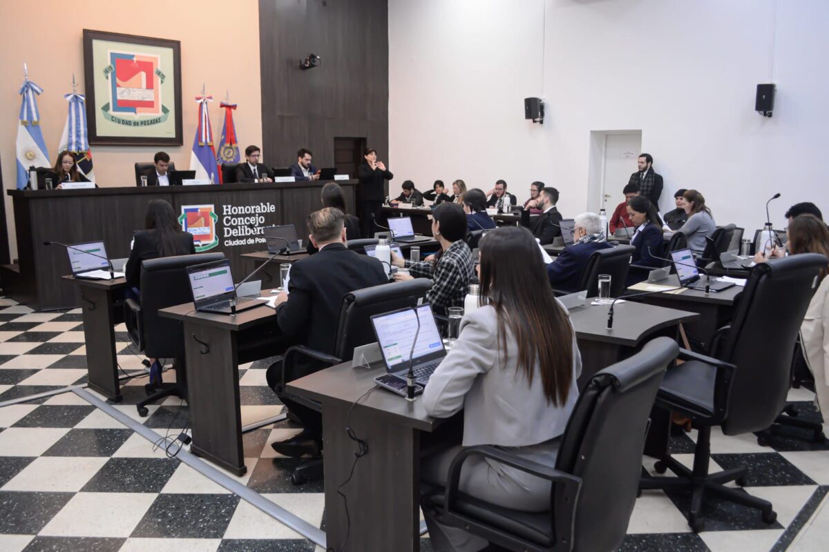 Posadas habilita el traslado de mascotas en colectivos bajo nuevas condiciones 1 2 - concejo posadeno - 1