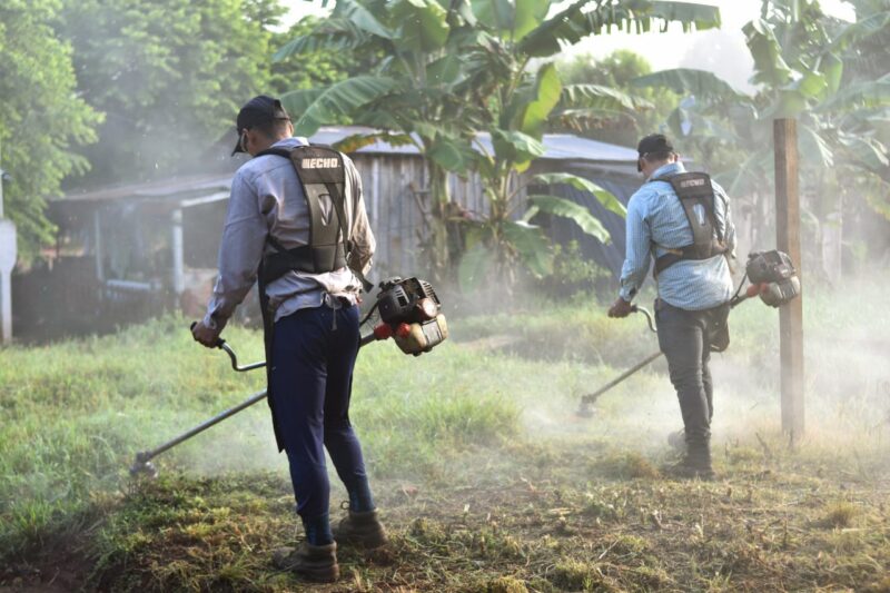 dengue misiones 2 - 5