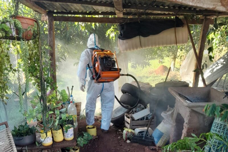 dengue misiones 4 - 1