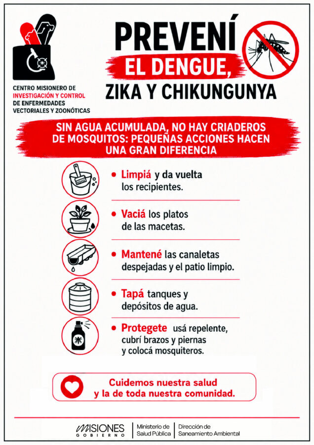 dengue misiones 6 - 9