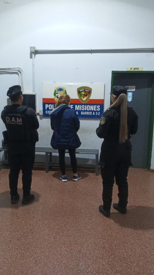 Cuatro detenidos en Posadas tras procedimientos por hurtos y otros hechos 2 4 - detenidos 2 2 - 3