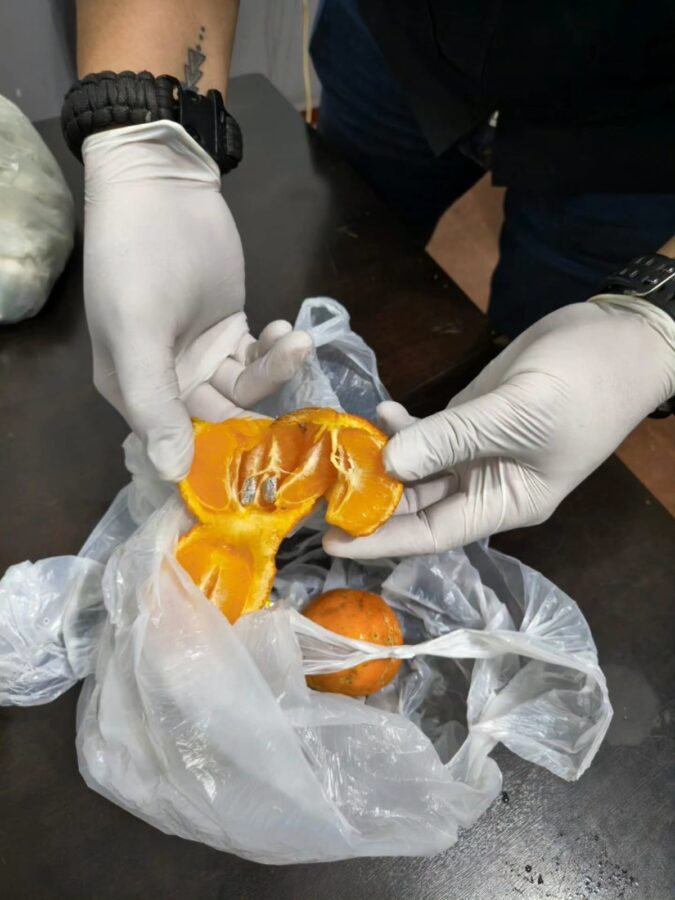 Quiso ingresar cocaína escondida en limones para un detenido en Iguazú y fue descubierto en el control 1 2 - droga en limones 3 - 1