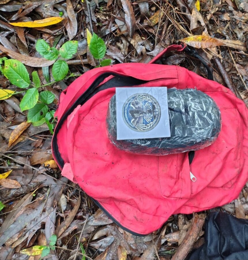 Una patrulla policial frustró un presunto intercambio de droga con un dealer en una zona de monte de Montecarlo 2 4 - droga montecarlo 3 - 3