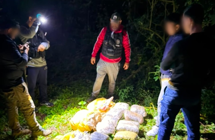 Frustraron el traslado de 37 kilos de marihuana valuados en más de $137 millones en Jardín América