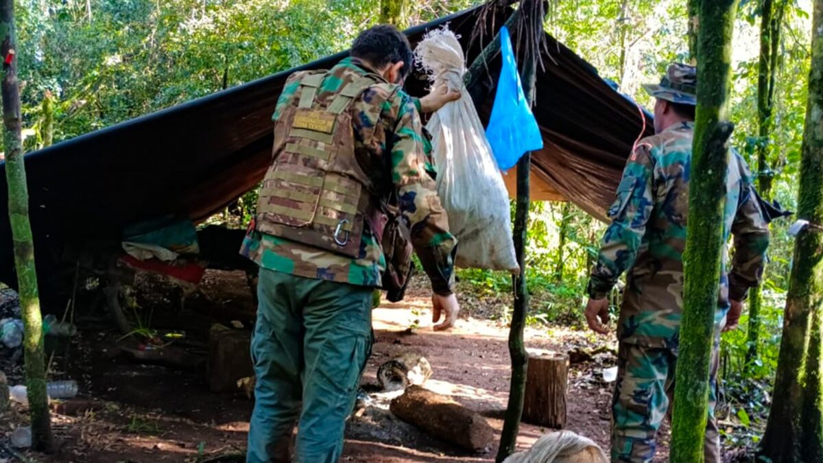 Guardaparques detectaron y destruyeron estructuras utilizadas para la caza en la Biosfera Yabotí