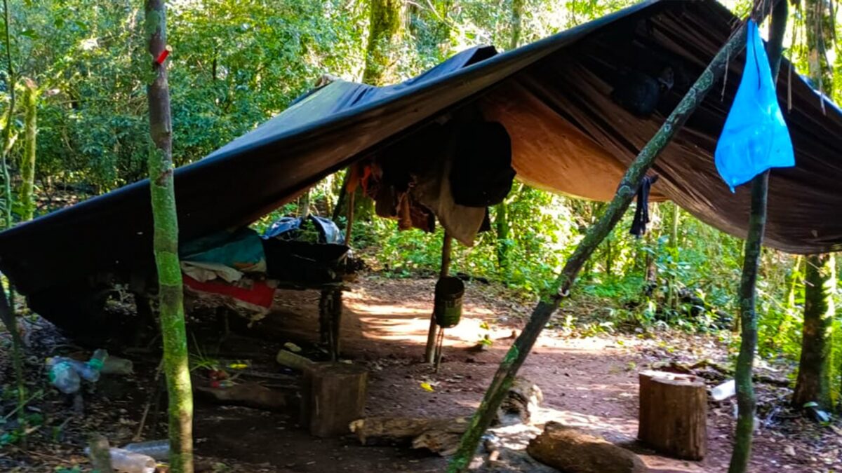 Guardaparques detectaron y destruyeron estructuras utilizadas para la caza en la Biosfera Yabotí 1 2 - ecologia 2 - 1