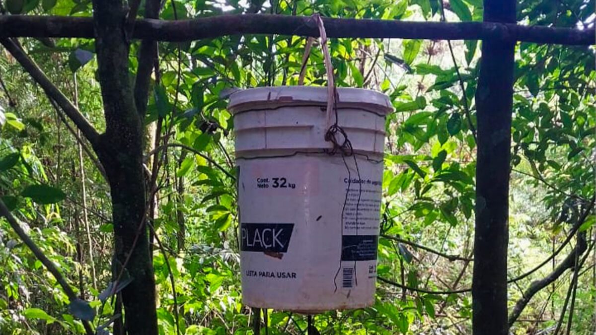 Guardaparques detectaron y destruyeron estructuras utilizadas para la caza en la Biosfera Yabotí 2 4 - ecologia 3 - 3
