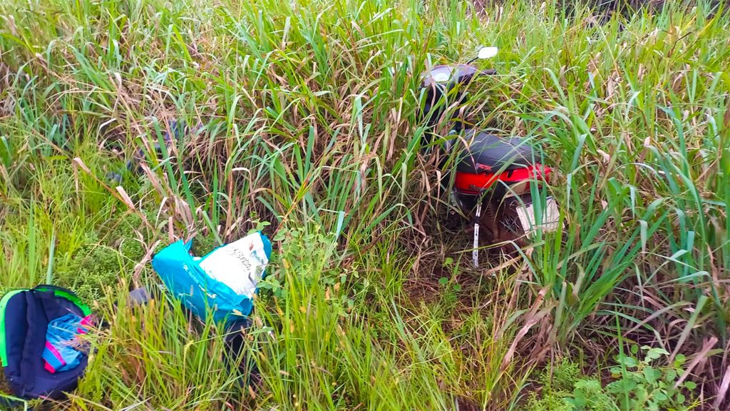 Operativo en el Lago Urugua-í: secuestraron redes y elementos de pesca prohibidos 1 2 - lago uruguai 2 - 1