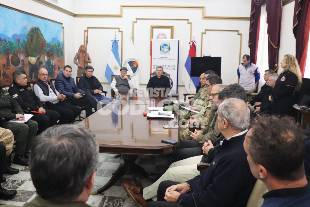 plan de mergencia 11 - 19