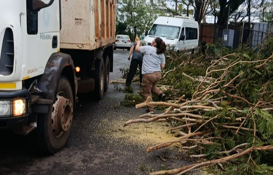 La Municipalidad removió más de 80 árboles y ramas caídas tras la tormenta que afectó a Posadas el sábado 1 2 - posadas muni2 - 1