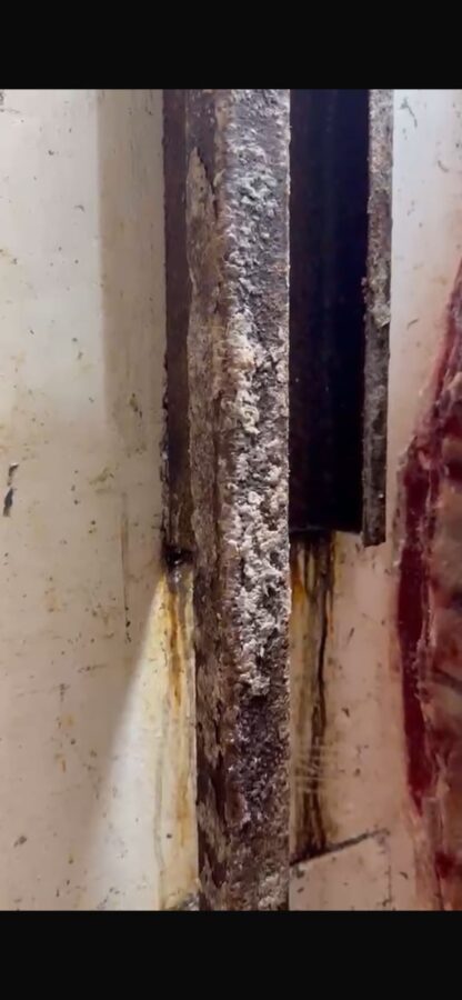 Clausura de un minimercado en Posadas: la Municipalidad denunció irregularidades sanitarias y una agresión 3 6 - Clausura de un minimercado en Posadas la Municipalidad denuncio irregularidades sanitarias y una agresion 11 - 5