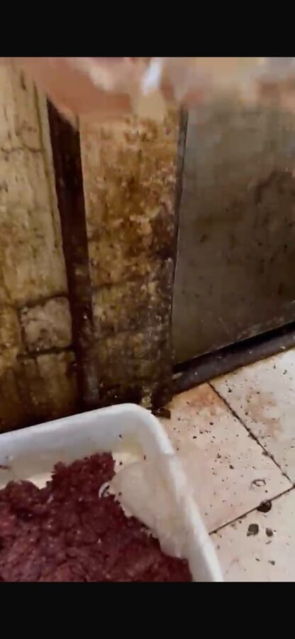Clausura de un minimercado en Posadas: la Municipalidad denunció irregularidades sanitarias y una agresión 2 4 - Clausura de un minimercado en Posadas la Municipalidad denuncio irregularidades sanitarias y una agresion 12 - 3