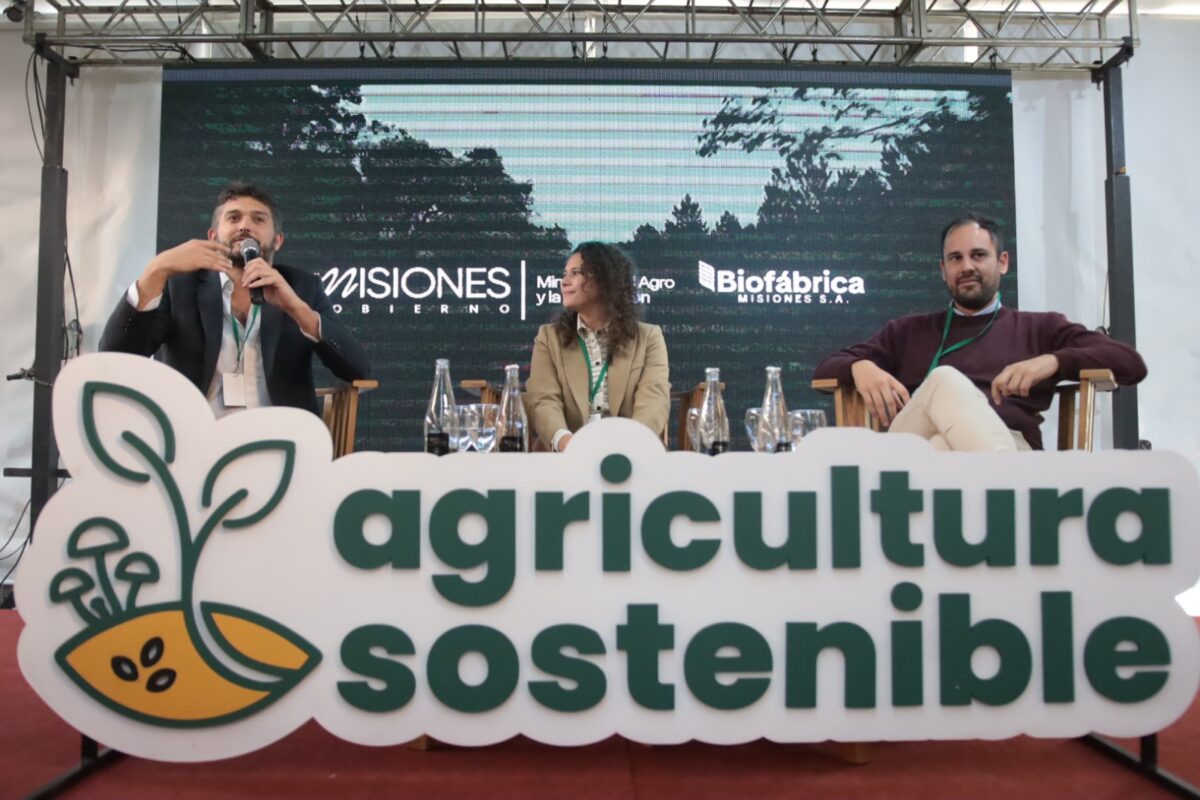 Más de 400 productores y especialistas participaron en la primera jornada de la Cumbre de Agricultura Sostenible en Misiones 1 2 - Mas de 400 productores y especialistas participaron de la Cumbre de Agricultura Sostenible en Misiones 3 - 1