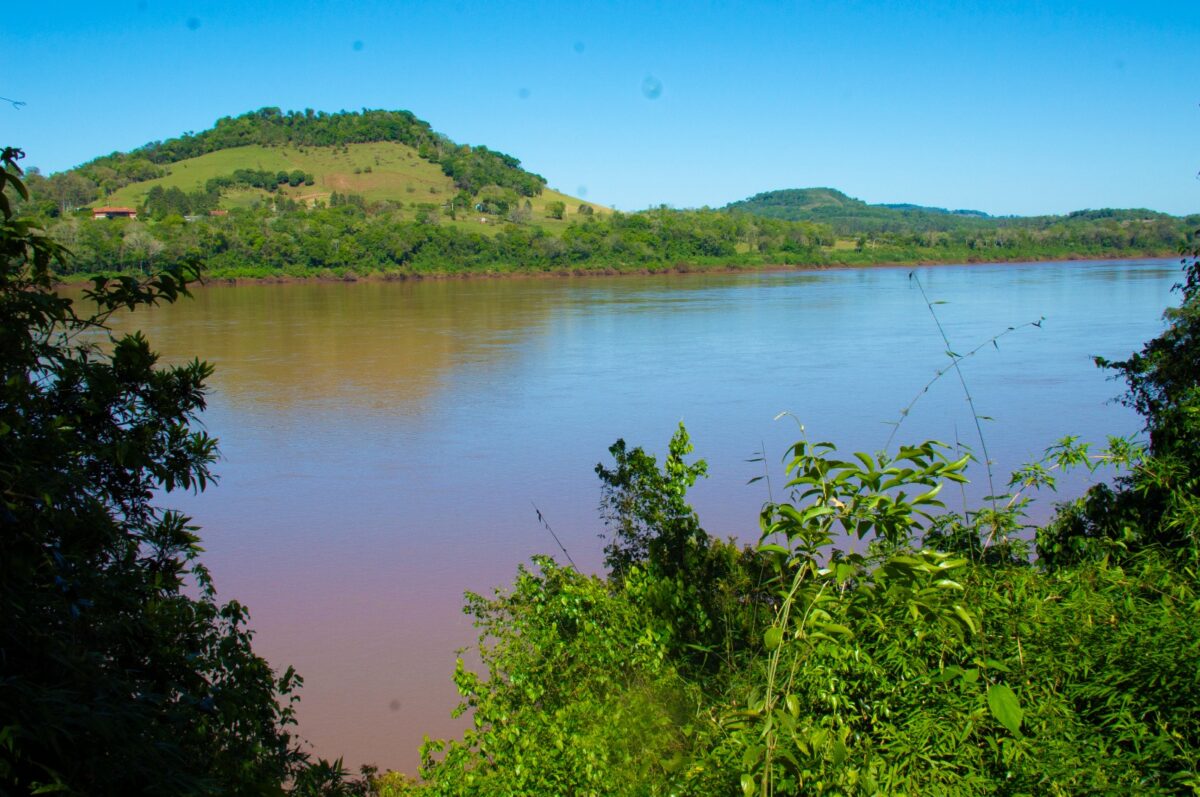 Misiones incorporó 23 hectáreas de Alba Posse a su sistema de áreas naturales protegidas 1 2 - Misiones incorporo 23 hectareas de Alba Posse a su sistema de areas naturales protegidas 3 - 1