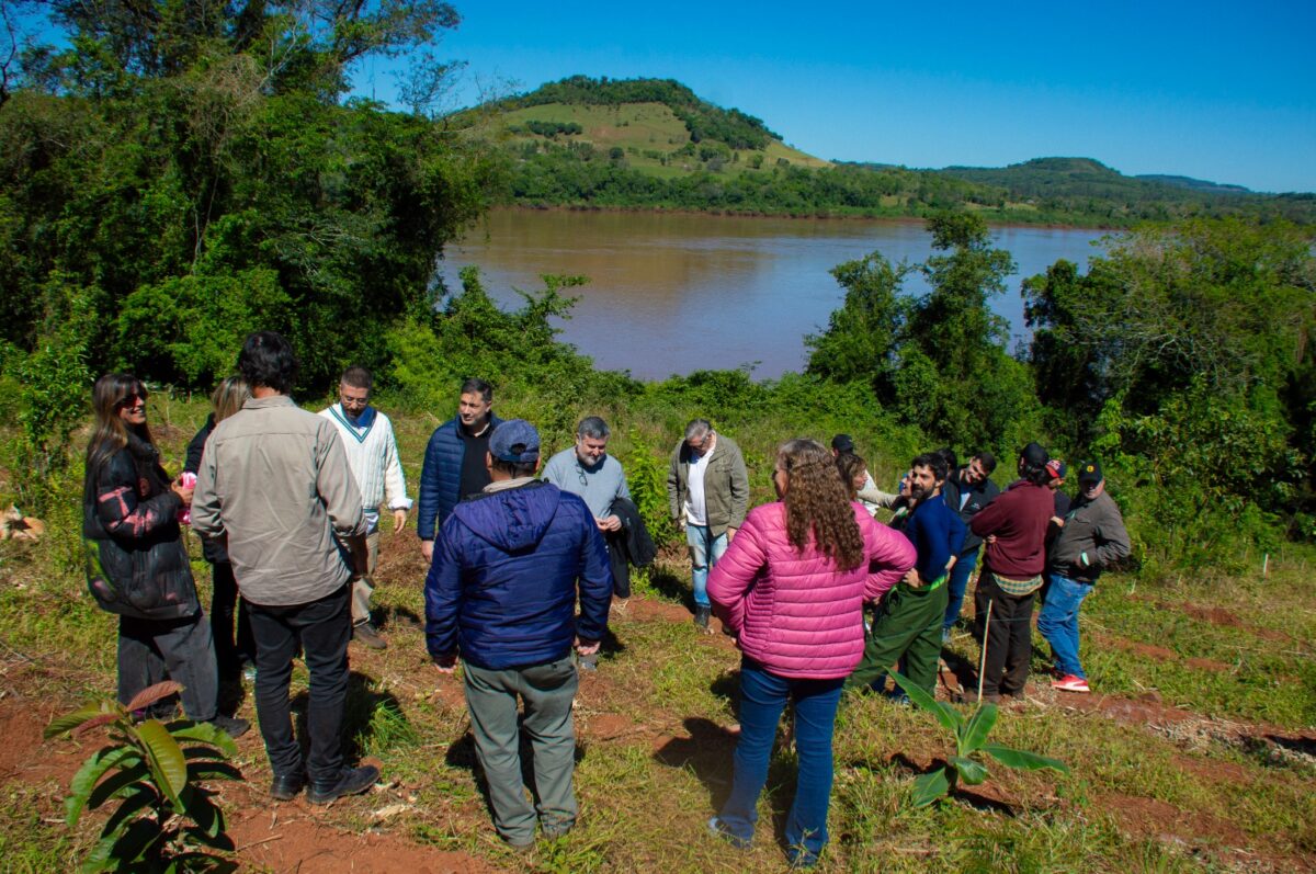 Misiones incorporó 23 hectáreas de Alba Posse a su sistema de áreas naturales protegidas 2 4 - Misiones incorporo 23 hectareas de Alba Posse a su sistema de areas naturales protegidas 4 - 3