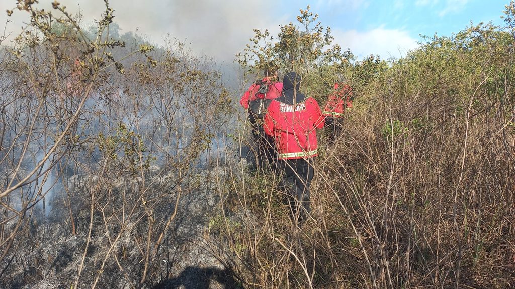 incendio campo san juan 5 - 7
