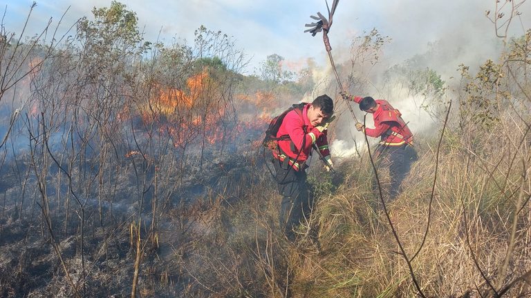 Extinguieron el incendio en Campo San Juan tras más de 17 horas de trabajo