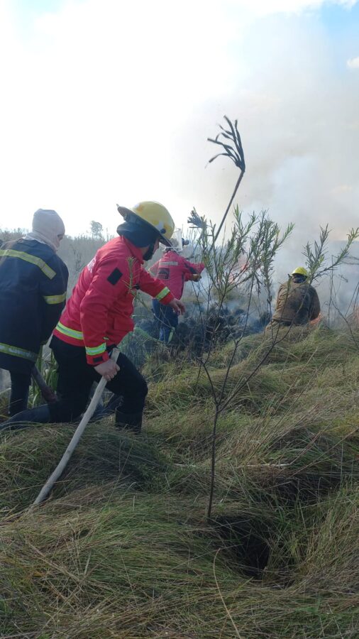 Incendios afectaron cerca de 80 hectáreas en distintos puntos de Misiones 3 6 - incendios 1 - 5