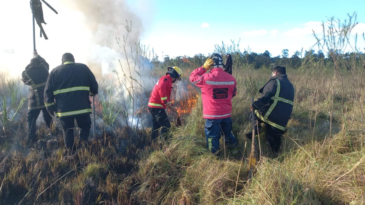 Incendios afectaron cerca de 80 hectáreas en distintos puntos de Misiones 2 4 - incendios 2 - 3