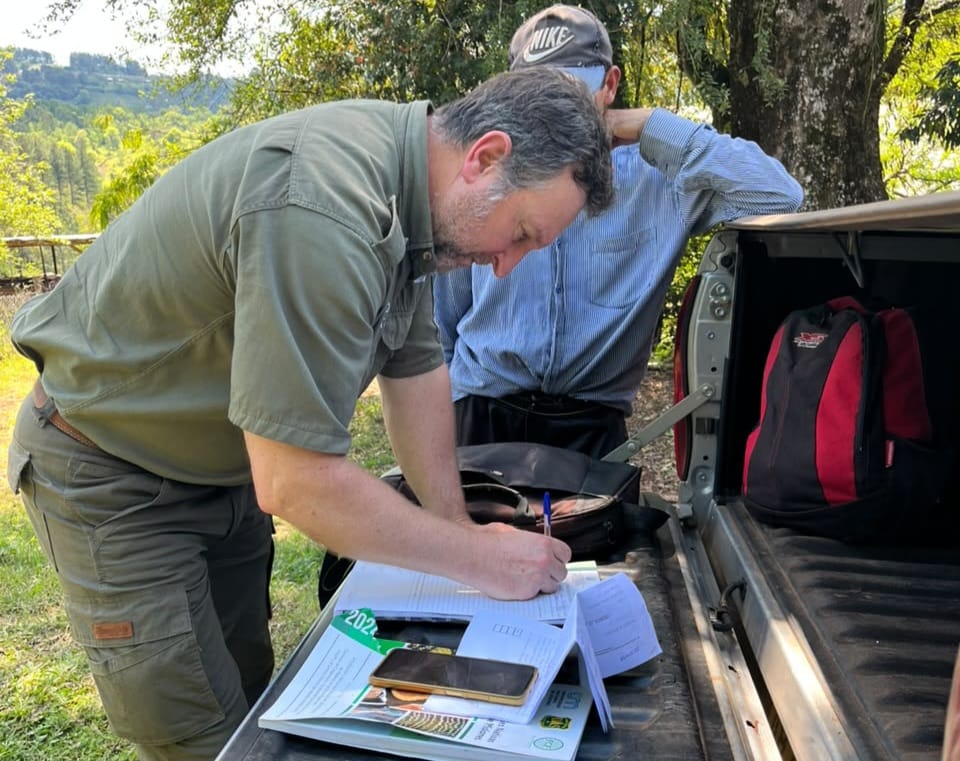 Detectaron aserrado de madera nativa y secuestraron un camión durante controles forestales en Misiones 9 18 - madera nativa 1 - 17