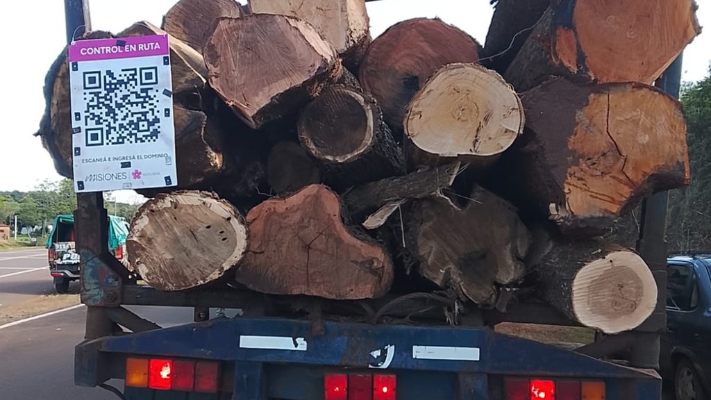 Detectaron aserrado de madera nativa y secuestraron un camión durante controles forestales en Misiones 7 14 - madera nativa 10 - 13