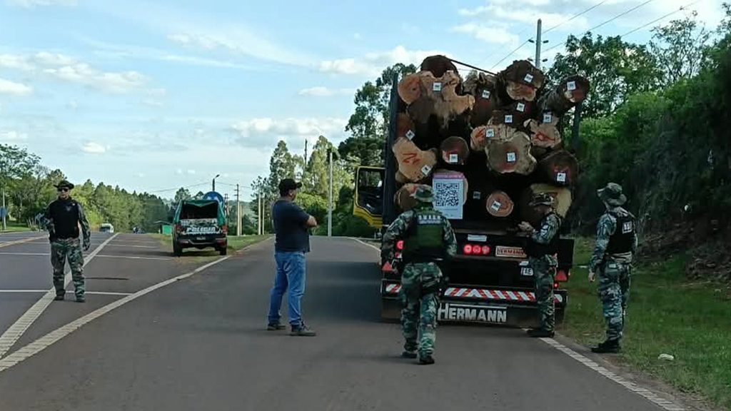 Detectaron aserrado de madera nativa y secuestraron un camión durante controles forestales en Misiones 10 20 - madera nativa 2 - 19