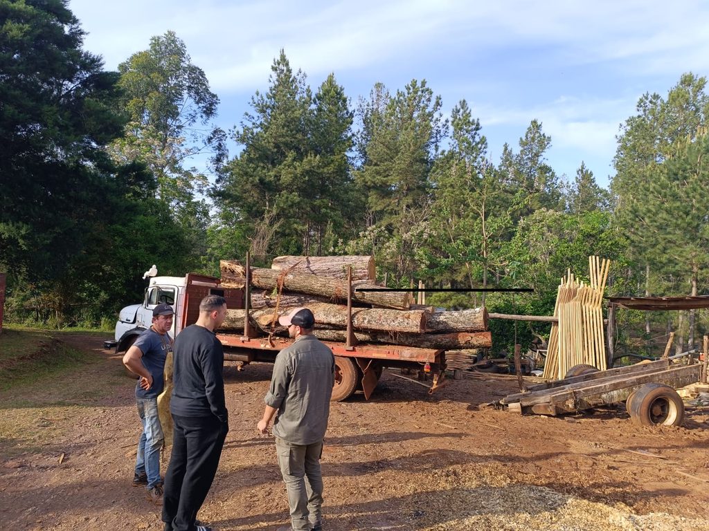 Detectaron aserrado de madera nativa y secuestraron un camión durante controles forestales en Misiones 1 2 - madera nativa 3 - 1