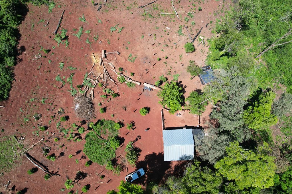 Detectaron aserrado de madera nativa y secuestraron un camión durante controles forestales en Misiones 2 4 - madera nativa 4 - 3