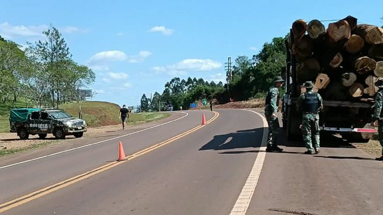 Detectaron aserrado de madera nativa y secuestraron un camión durante controles forestales en Misiones
