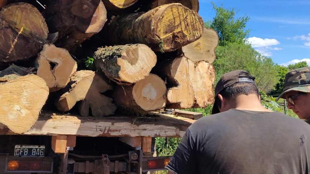 Detectaron aserrado de madera nativa y secuestraron un camión durante controles forestales en Misiones 5 10 - madera nativa 8 - 9