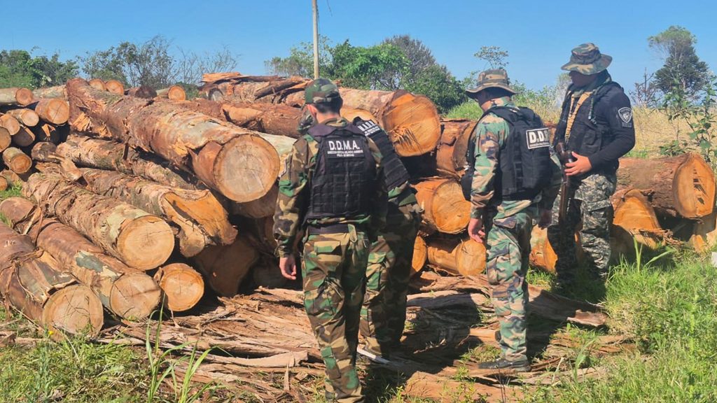 Detectaron aserrado de madera nativa y secuestraron un camión durante controles forestales en Misiones 6 12 - madera nativa 9 - 11