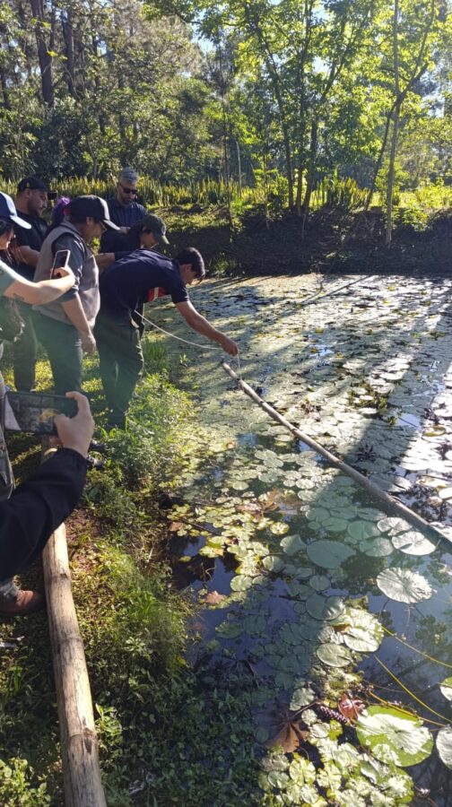 Montecarlo y la UNaM impulsan acciones para conservar la cuenca del arroyo Bonito 6 12 - montecarlo 6 - 11