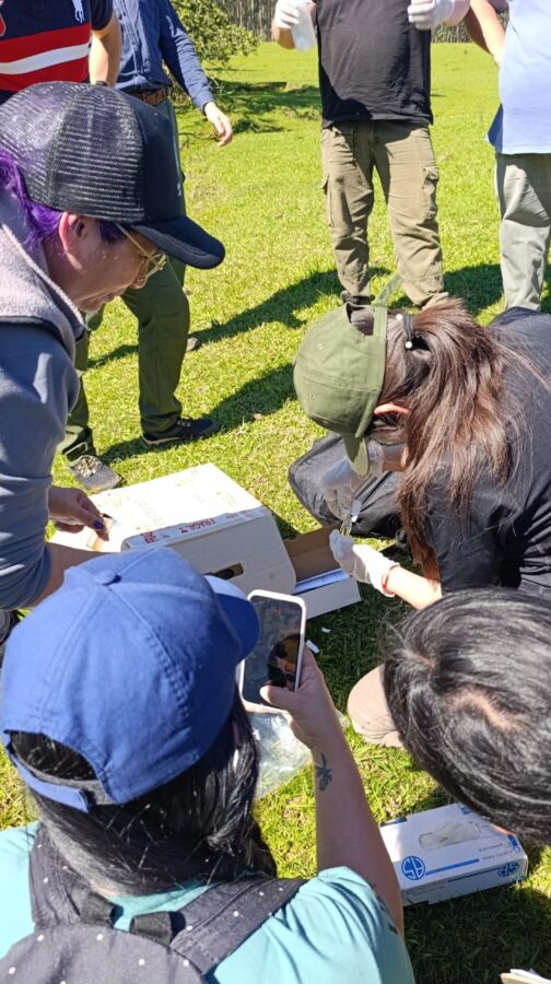 Montecarlo y la UNaM impulsan acciones para conservar la cuenca del arroyo Bonito 7 14 - montecarlo 7 - 13