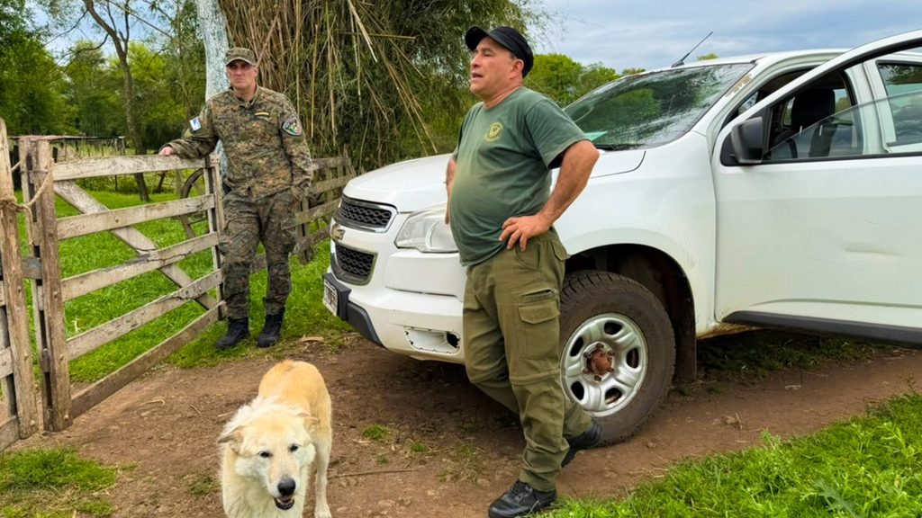 Reportes de ataques de felinos en Profundidad: relevaron áreas afectadas y asistieron a productores 2 4 - profundidad ataques 3 - 3