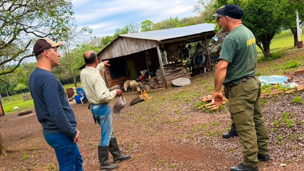 Reportes de ataques de felinos en Profundidad: relevaron áreas afectadas y asistieron a productores 3 6 - profundidad ataques 4 - 5