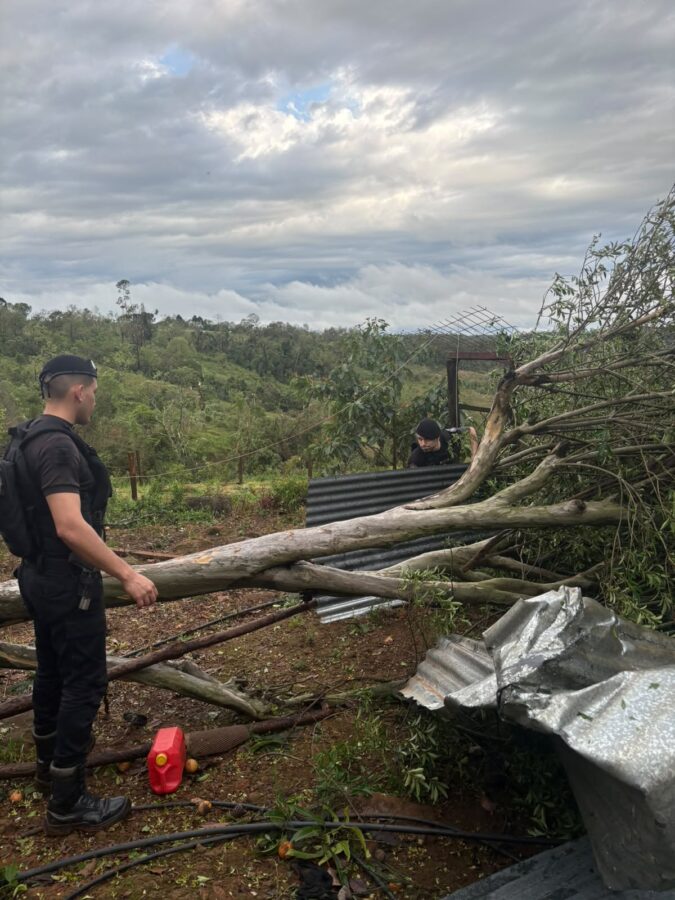 San Pedro: identificaron a la víctima fatal y confirmaron que 21 familias fueron afectadas por el tornado 4 8 - tornado san pedro 5 - 7