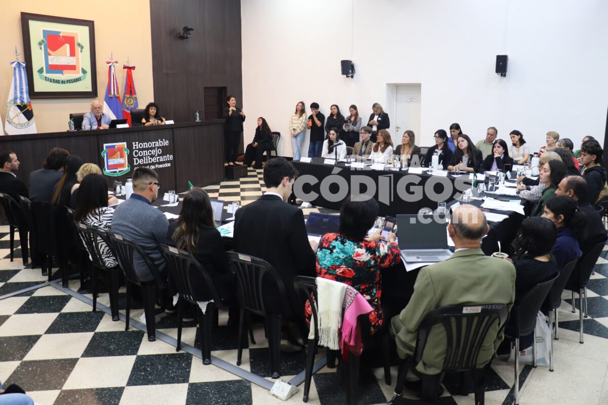 El Concejo Deliberante de Posadas debatio 42 iniciativas en su primer Parlamento Ciudadano 5 - 7
