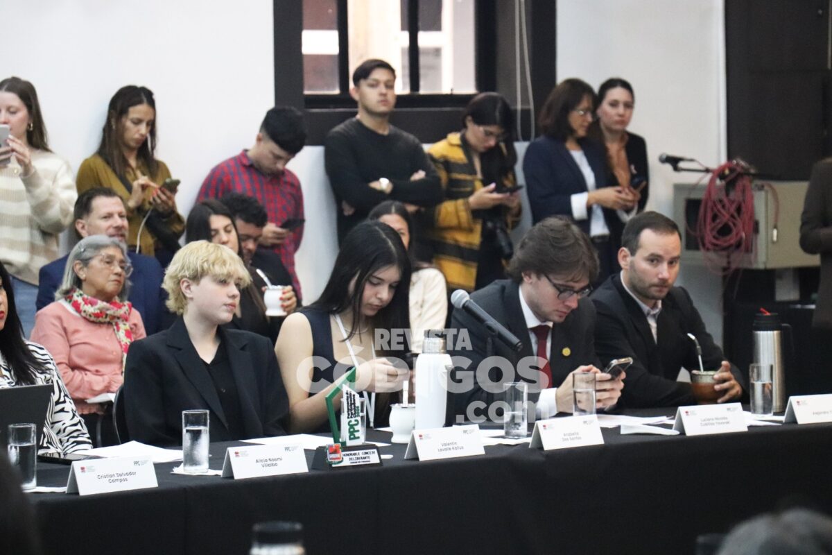 El Concejo Deliberante de Posadas debatio 42 iniciativas en su primer Parlamento Ciudadano 8 - 5