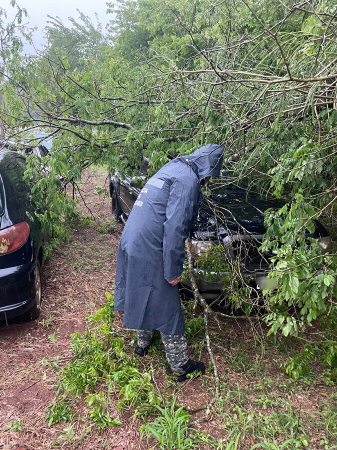 Fuertes tormentas en Misiones provocaron voladuras de techos y caída de árboles y postes 1 2 - Fuertes tormentas en Misiones provocaron voladuras de techos y caida de arboles y postes 1 - 1