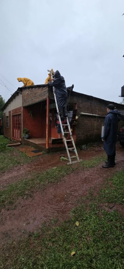 Fuertes tormentas en Misiones provocaron voladuras de techos y caída de árboles y postes 3 6 - Fuertes tormentas en Misiones provocaron voladuras de techos y caida de arboles y postes 10 - 5
