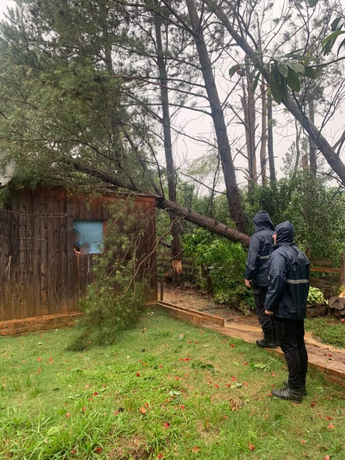 Fuertes tormentas en Misiones provocaron voladuras de techos y caída de árboles y postes 2 4 - Fuertes tormentas en Misiones provocaron voladuras de techos y caida de arboles y postes 11 - 3