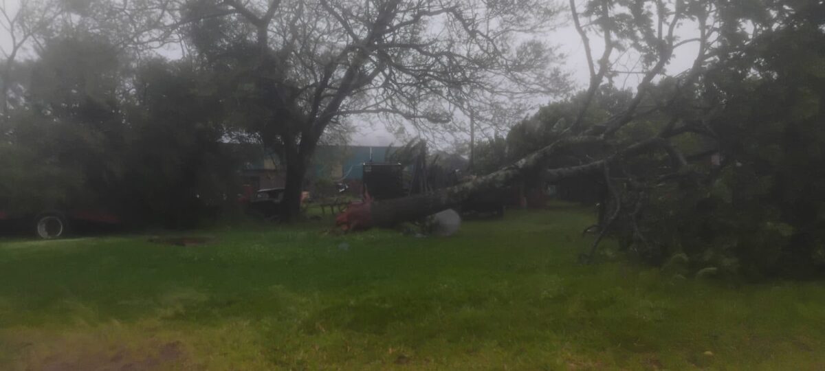 Fuertes tormentas en Misiones provocaron voladuras de techos y caída de árboles y postes 10 20 - Fuertes tormentas en Misiones provocaron voladuras de techos y caida de arboles y postes 2 - 19