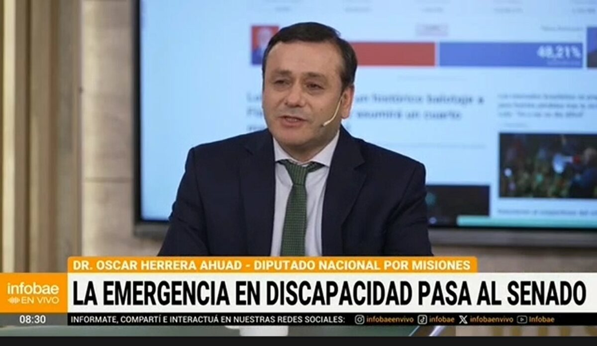 Herrera Ahuad reivindico el papel de las organizaciones en la ley de Discapacidad y critico las auditorias - 1