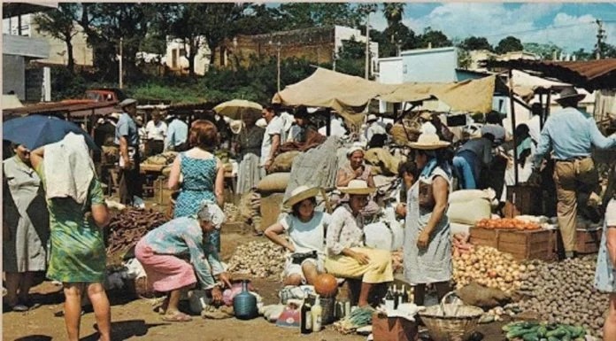La Placita cumple 70 años: el mercado que nació junto al Paraná y se convirtió en un símbolo de Posadas 2 4 - La Placita cumple 70 anos el mercado que nacio junto al Parana y se convirtio en un simbolo de Posadas 1 - 3