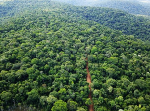 Misiones alcanzó las 118 áreas naturales protegidas con la incorporación de la reserva Fachinal Miní