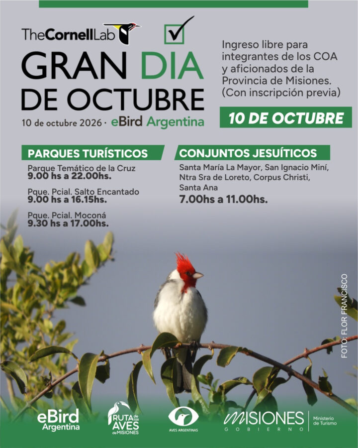 Misiones participará del Gran Día de Observación de Aves 2026 y habilitará el ingreso gratuito a parques 1 2 - Misiones participara del Gran Dia de Observacion de Aves 2026 y habilitara el ingreso gratuito a parques 1 - 1