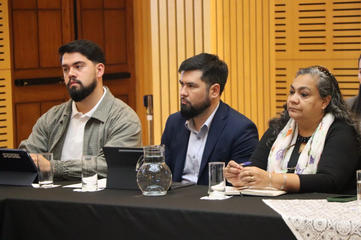 Misiones reunio a organismos de salud seguridad y Justicia para fortalecer el abordaje de las adicciones 2 - 3